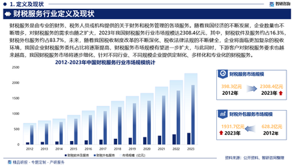 2025-2031年中国财税服务行业市场行情动态及竞争战略分析 兼论软件外包服务的角色演变